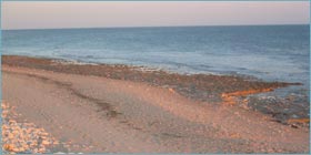 Beaches of Île de Ré